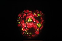 Starzone Psychedelic DMX