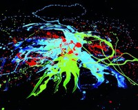 UV farba 100 ml svetlomodrá