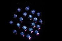 Dataflower 2