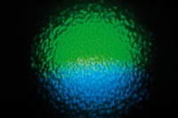 Starzone Aquatic