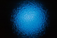 Starzone Aquatic
