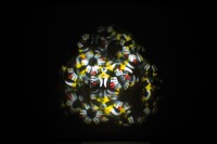 Starzone Psychedelic