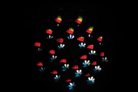 Dataflower 2